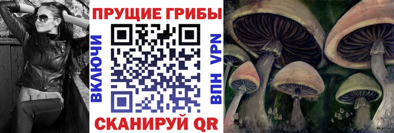 Галлюциногенные грибы Cubensis Сухиничи